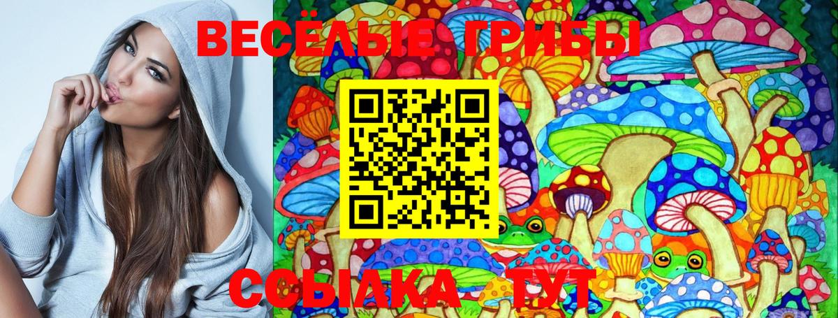 Галлюциногенные грибы GOLDEN TEACHER Ижевск