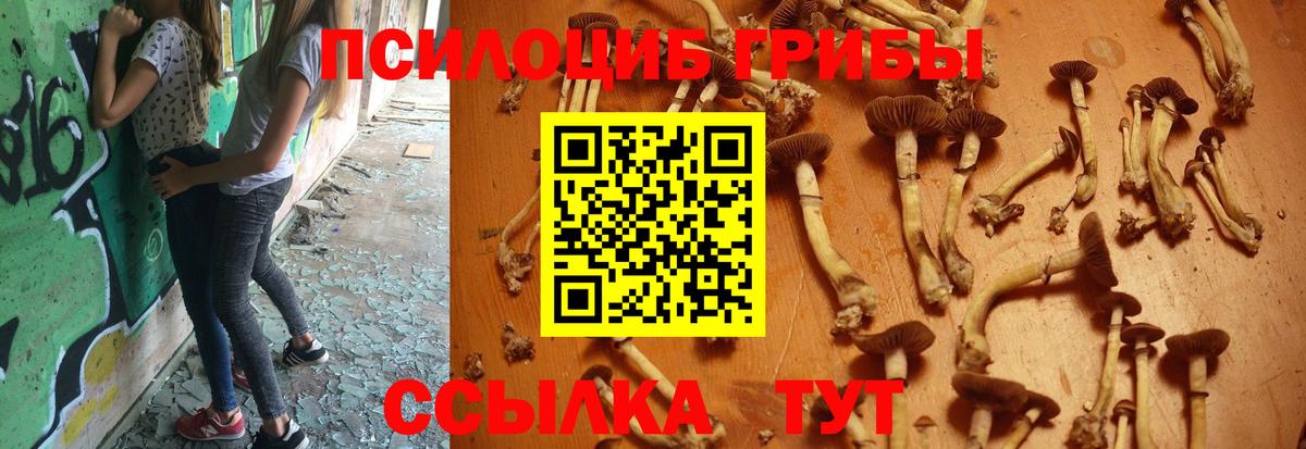 Мефедрон   Бошки Шишки  Кокаин  Героин  ЭКСТАЗИ  ГАШИШ  Ижевск  Вход с VPN 