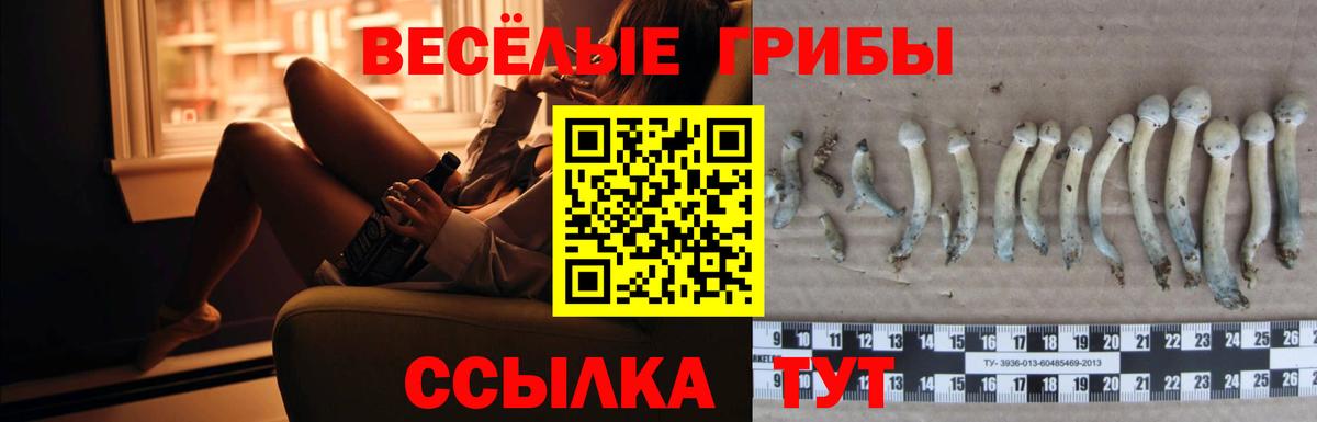 Псилоцибиновые грибы мицелий  Вход с VPN  купить  сайты  Псилоцибиновые грибы мухоморы  Ижевск 